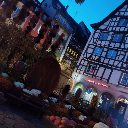 Διαμέρισμα Le Gutenberg Au Coeur Du Marche De Noel De Στρασβούργο